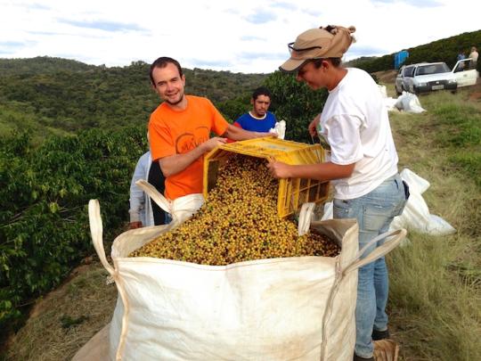 Фото 1 Специалист компании на кофейной плантации в Бразилии